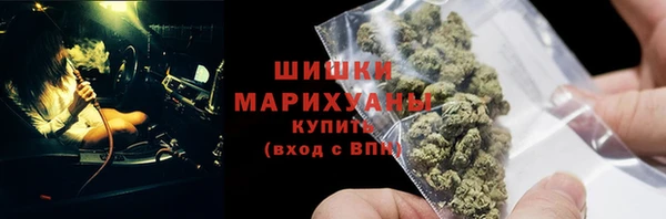 шишки Беломорск