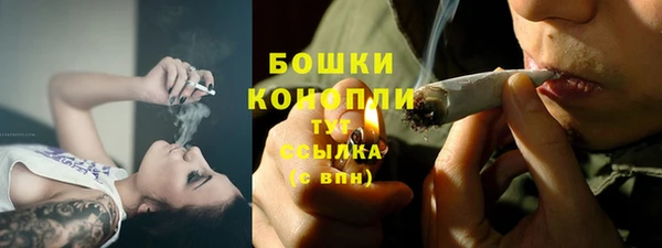 шишки Беломорск