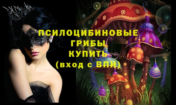 шишки Беломорск