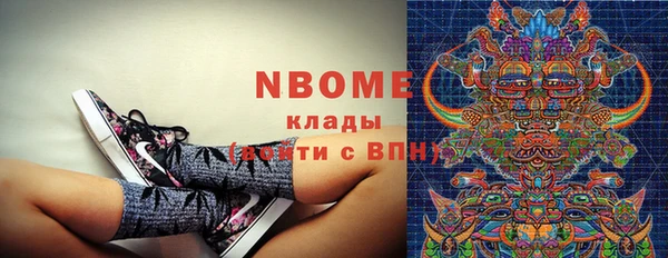 PSILOCYBIN Богородицк