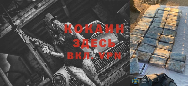 шишки Беломорск