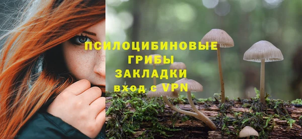 шишки Беломорск