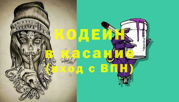 шишки Беломорск
