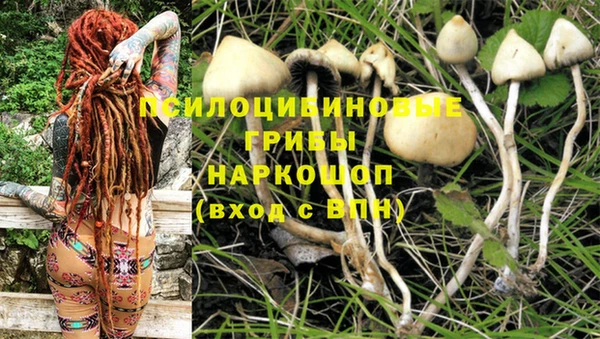 соль ск Белокуриха